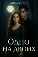Обложка произведения Одно на двоих