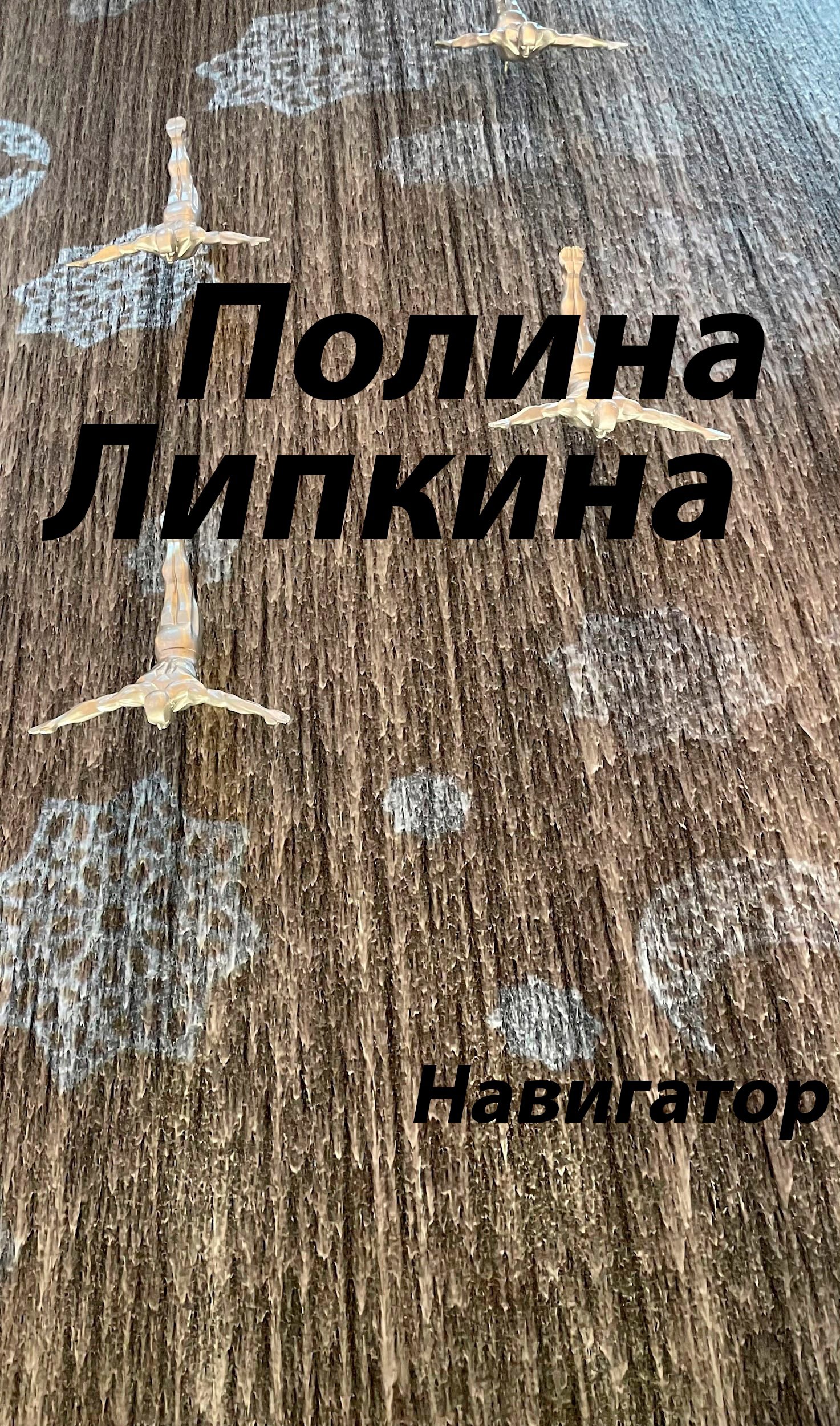 Обложка произведения Навигатор