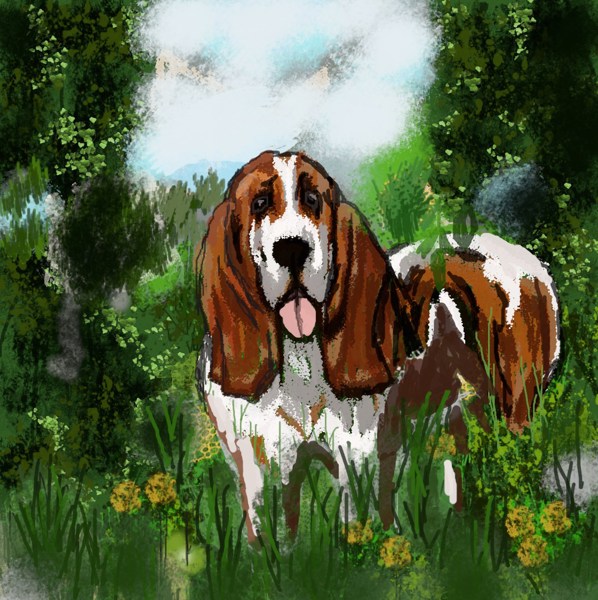 Иллюстрация