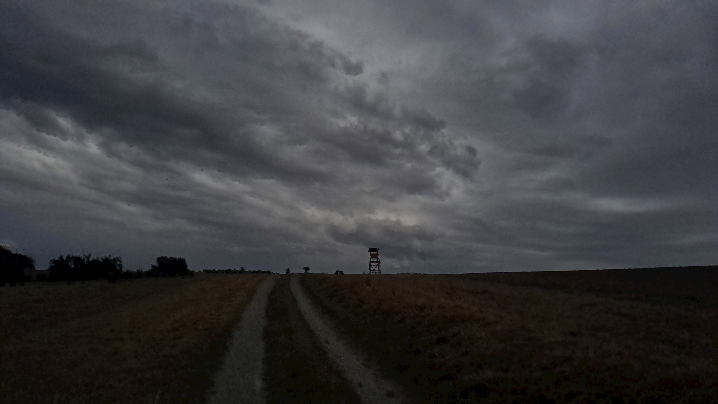 Обложка произведения Стихи моей души
