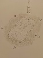 Обложка произведения Writober-25. Курган. Расчищение слоя вымывания.