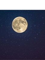 Обложка произведения Ночной приятель