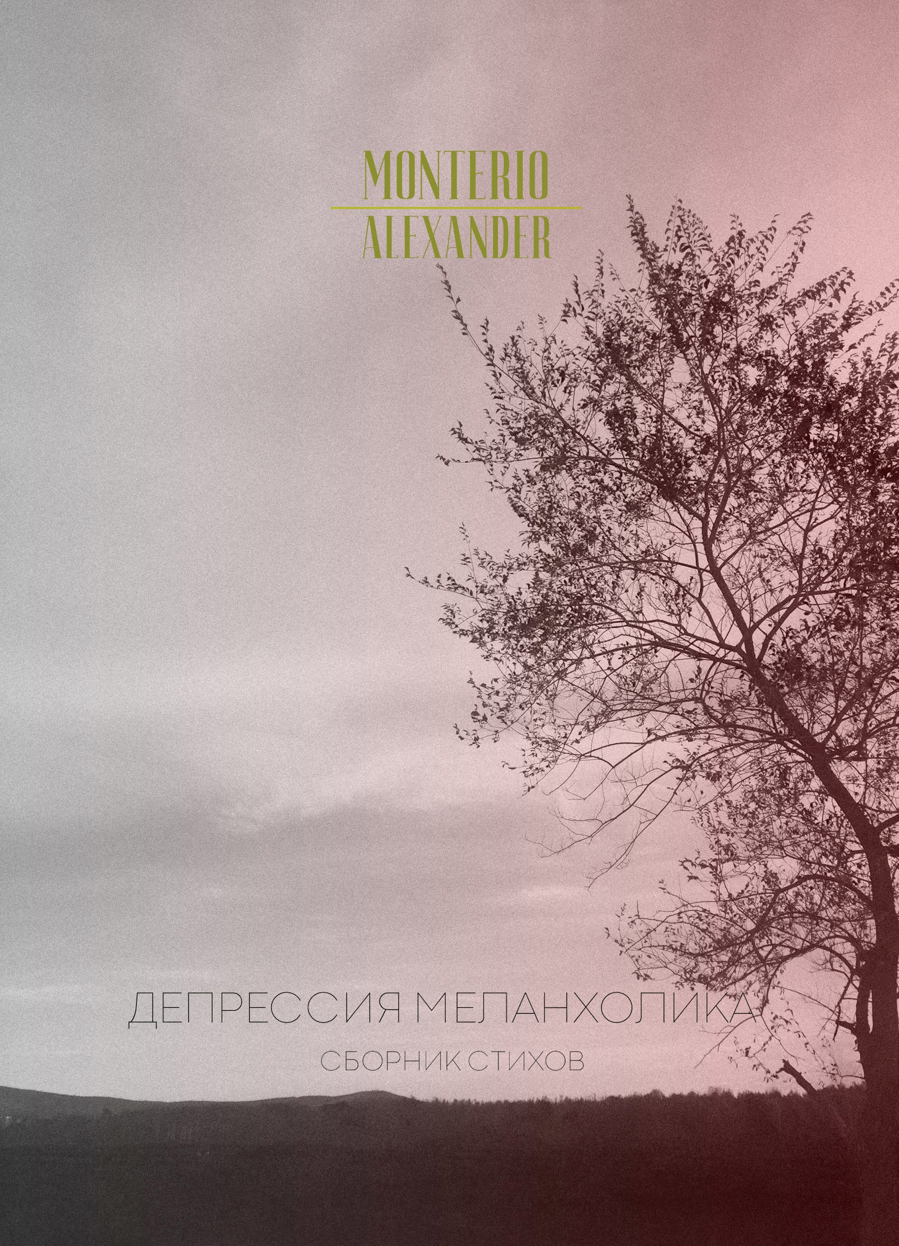 Обложка произведения Депрессия меланхолика