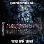 Обложка произведения Ледяные трущобы