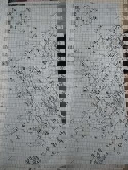 Карта Ардо-Ройна