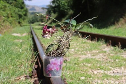 Ориби Каммпирр -...