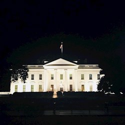 #202935