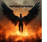 Обложка произведения Черные крылья
