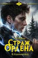 Обложка произведения Страж Ордена 2