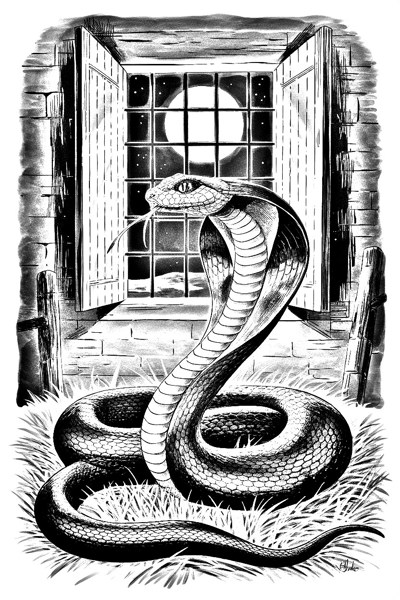 Иллюстрация