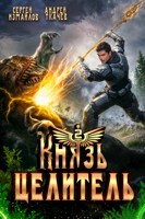 Обложка произведения Князь Целитель 2