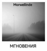 Обложка произведения Мгновения