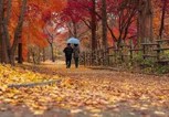 Обложка произведения Осень