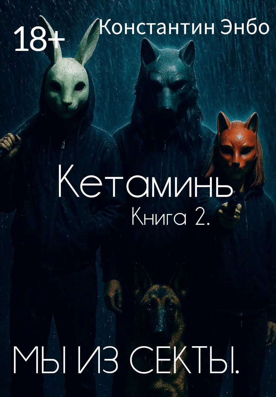 Обложка произведения Кетаминь. Книга 2. Мы из Секты.