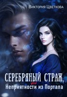 Обложка произведения Серебряный страж, или Неприятность из портала