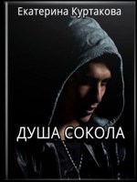 Обложка произведения Душа Сокола