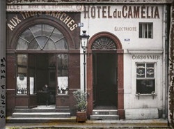 Отель Камелия