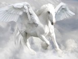 Обложка произведения Конец исканий