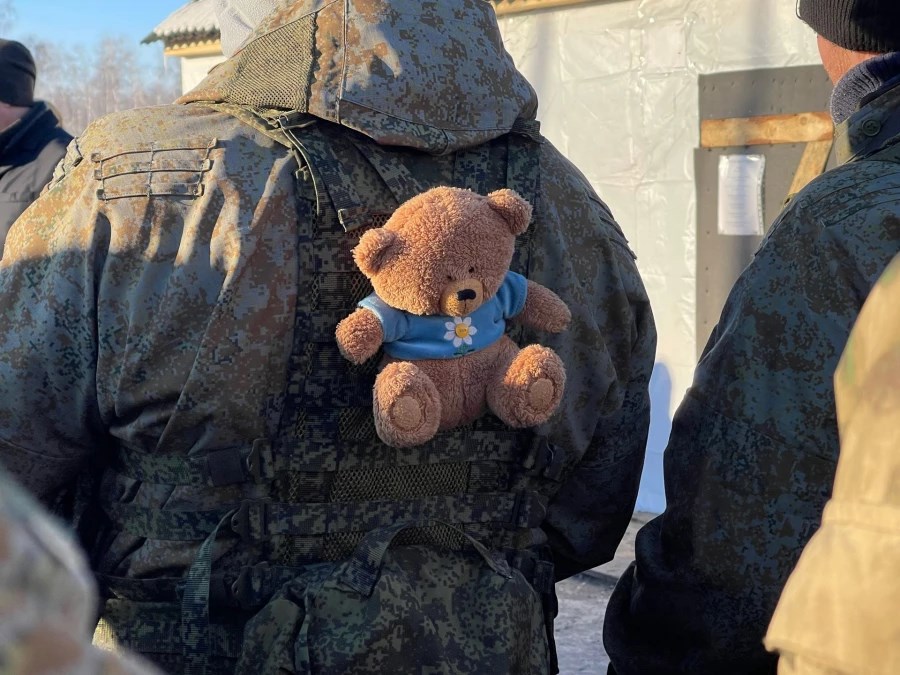 Обложка произведения Плюшевый щит