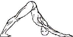 Пятое упражнение_oko_2...