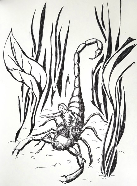 Иллюстрация