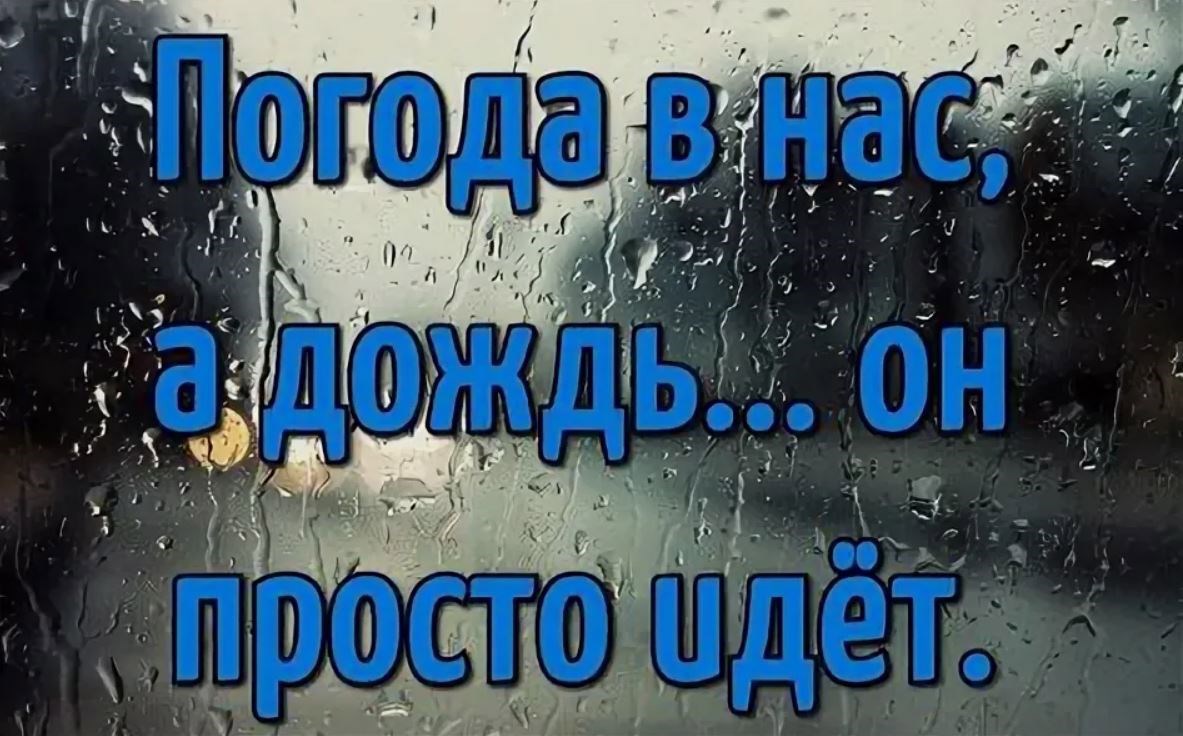 Обложка произведения Не бодрое