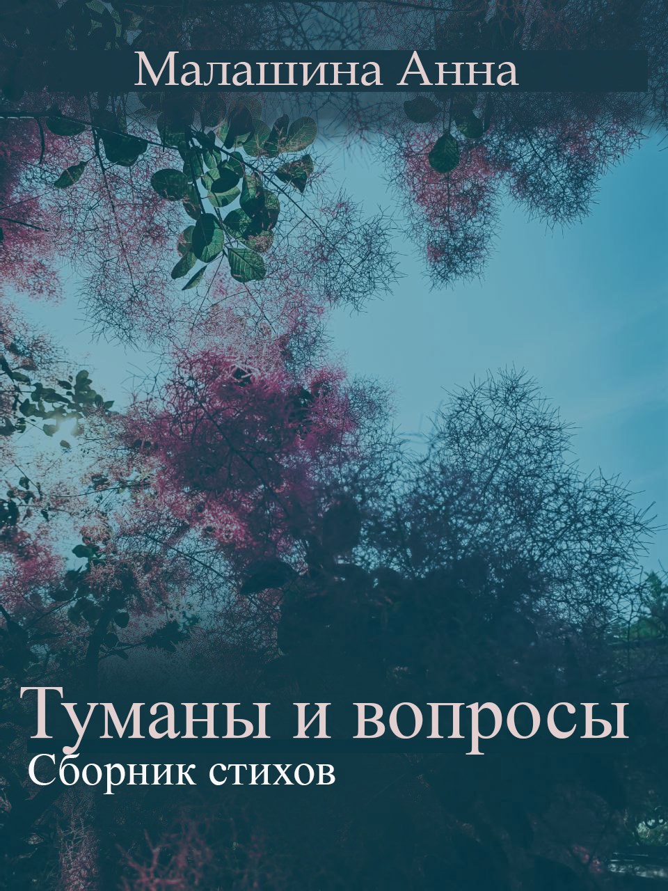 Обложка произведения Туманы и вопросы