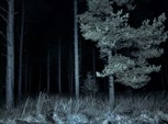 Обложка произведения Выбор в Исидор Артуа