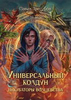 Обложка произведения Универсальный колдун. Книга 1. Инкубаторы волшебства