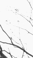 Обложка произведения Поэтичное
