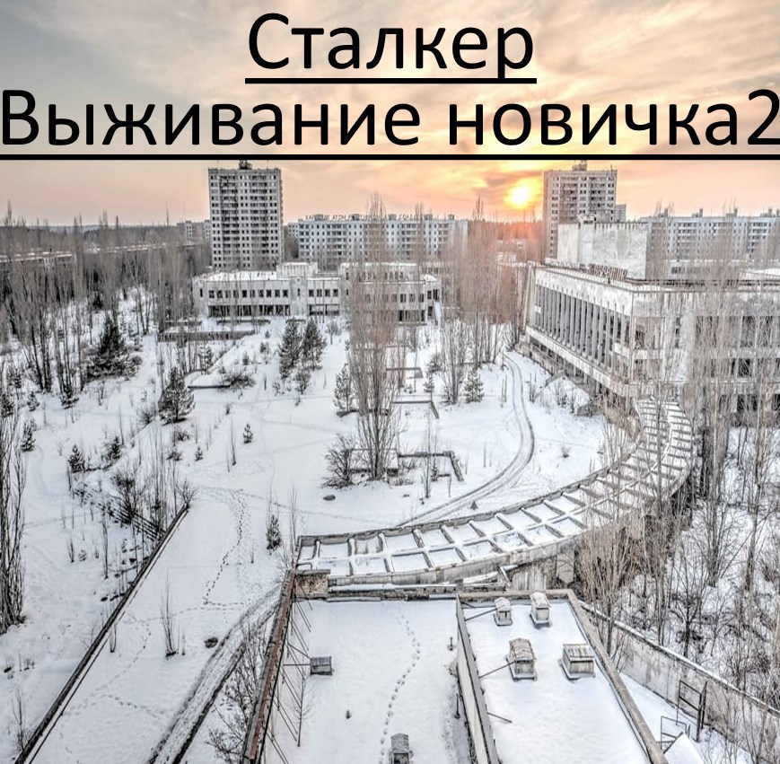 Обложка произведения Сталкер. Выживание новичка 2