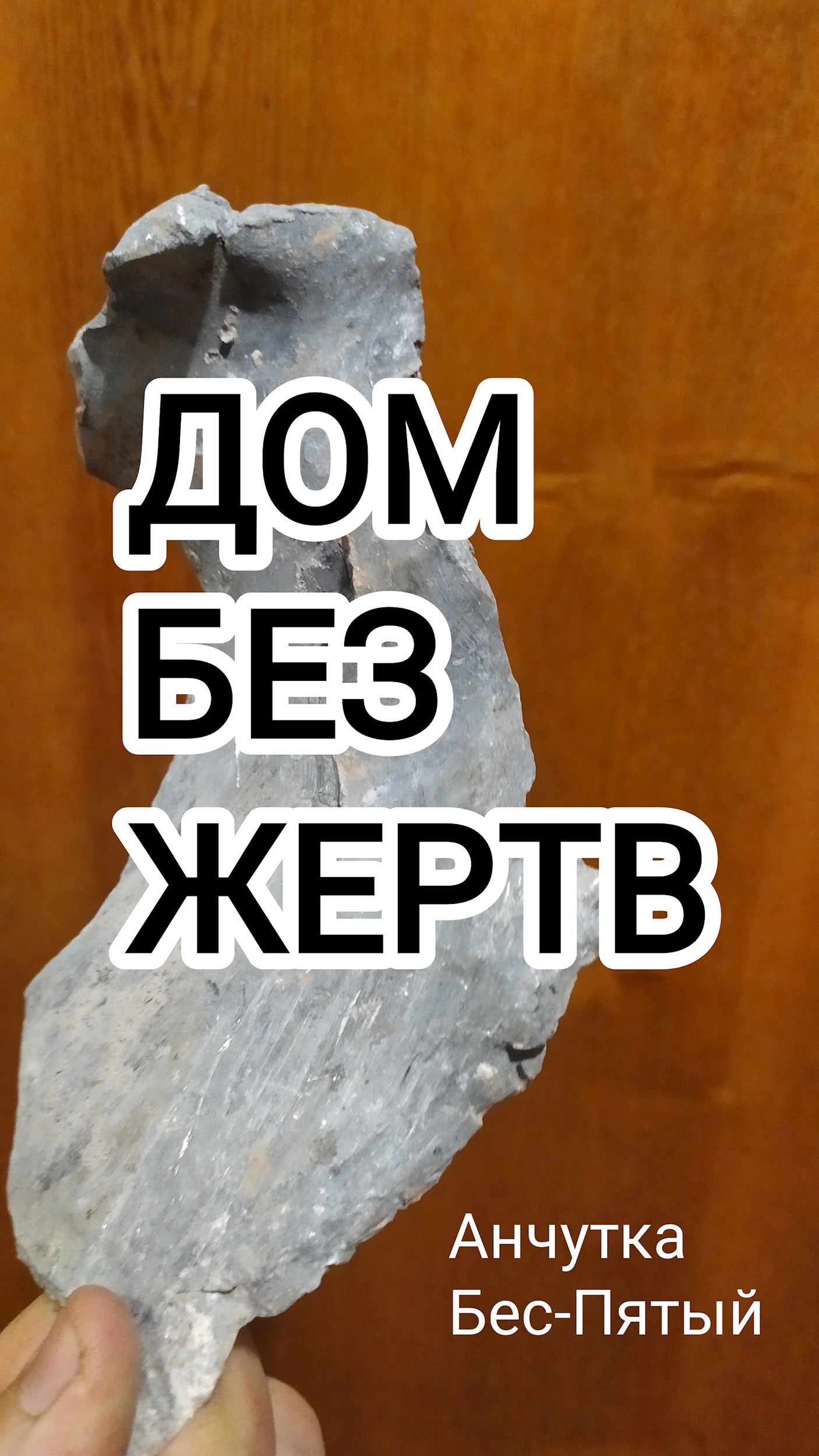 Обложка книги «Дом без жертв»