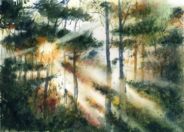 Иллюстрация