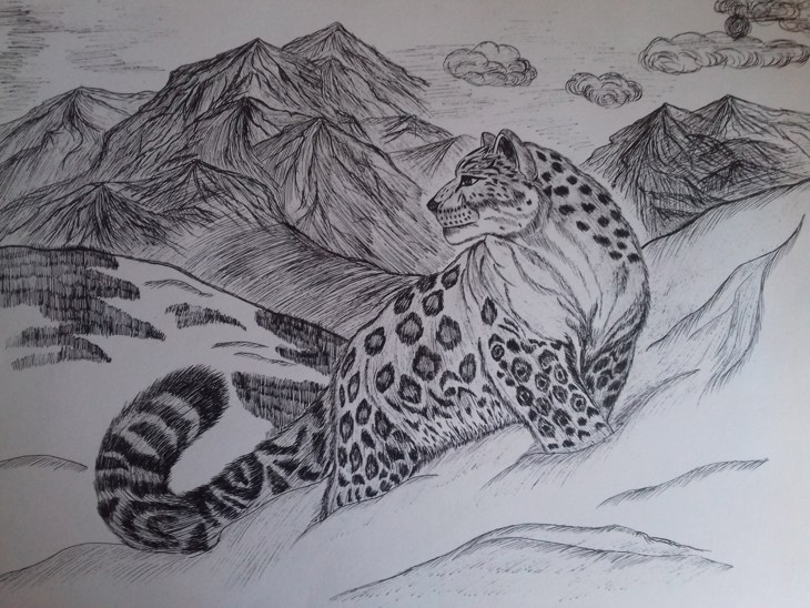 Иллюстрация