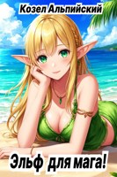 Обложка произведения Эльф для мага!