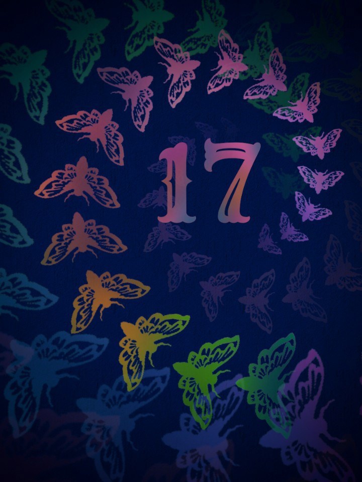 Обложка книги «Маленький хаос»