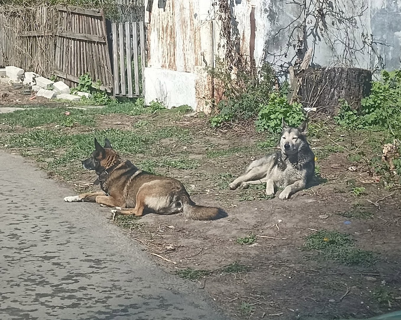 Обложка книги «Малыш»