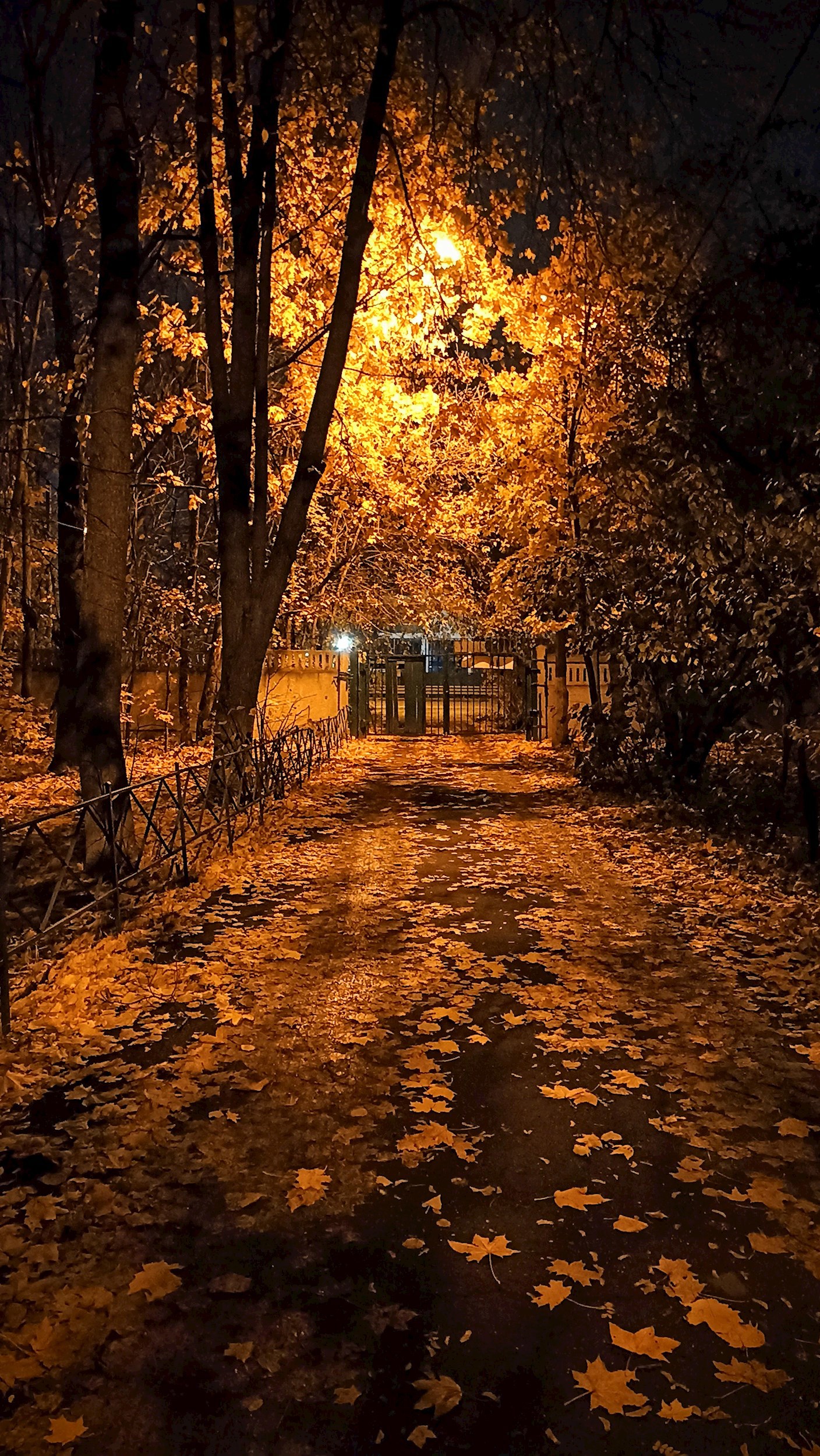 Обложка книги «Шаман»