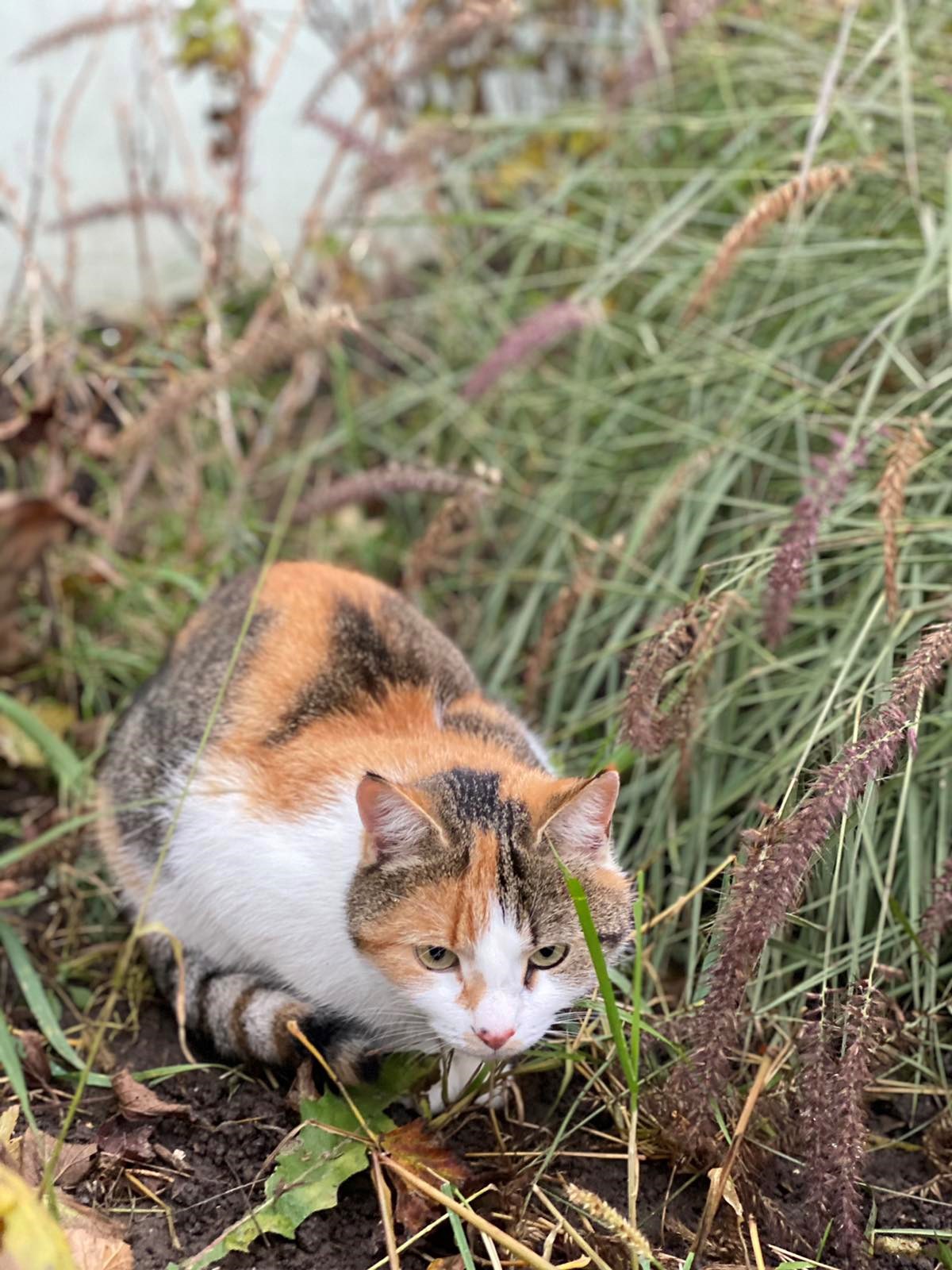 Обложка произведения Время теплых мыслей