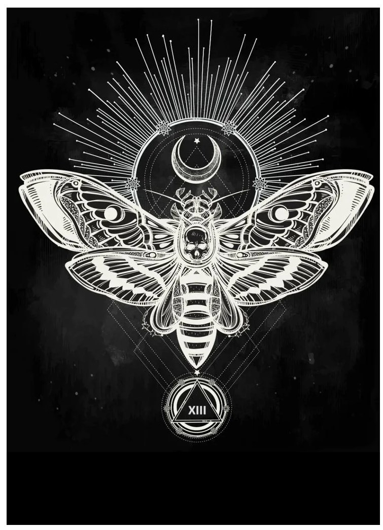 Обложка произведения Дух огня