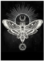 Обложка произведения Дух огня