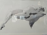 Обложка произведения Гол(одн)ая