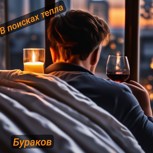 Обложка произведения В поисках тепла
