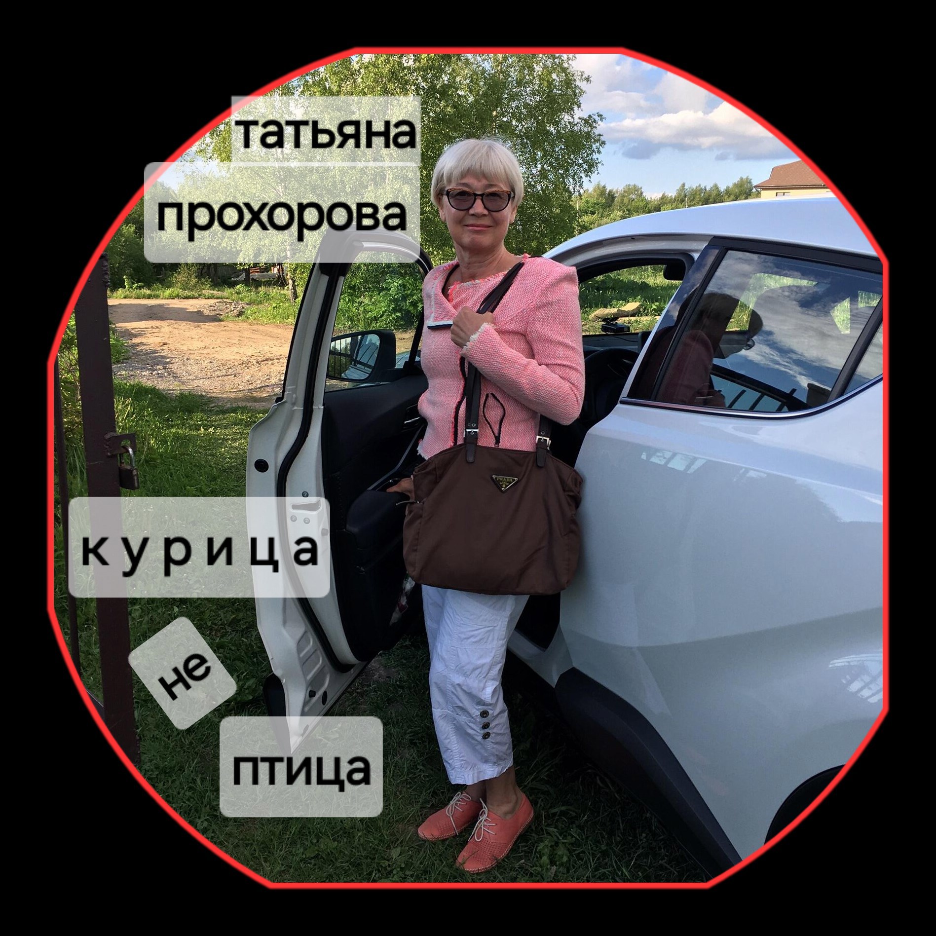 Обложка произведения Курица - не птица...