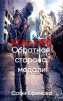 Обложка произведения S.T.A.L.K.E.R. Обратная сторона медали