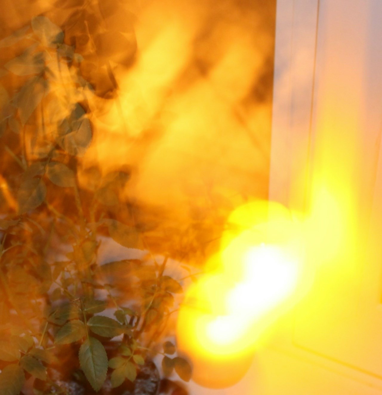 Обложка произведения Желтые земли. Агентство межмирья