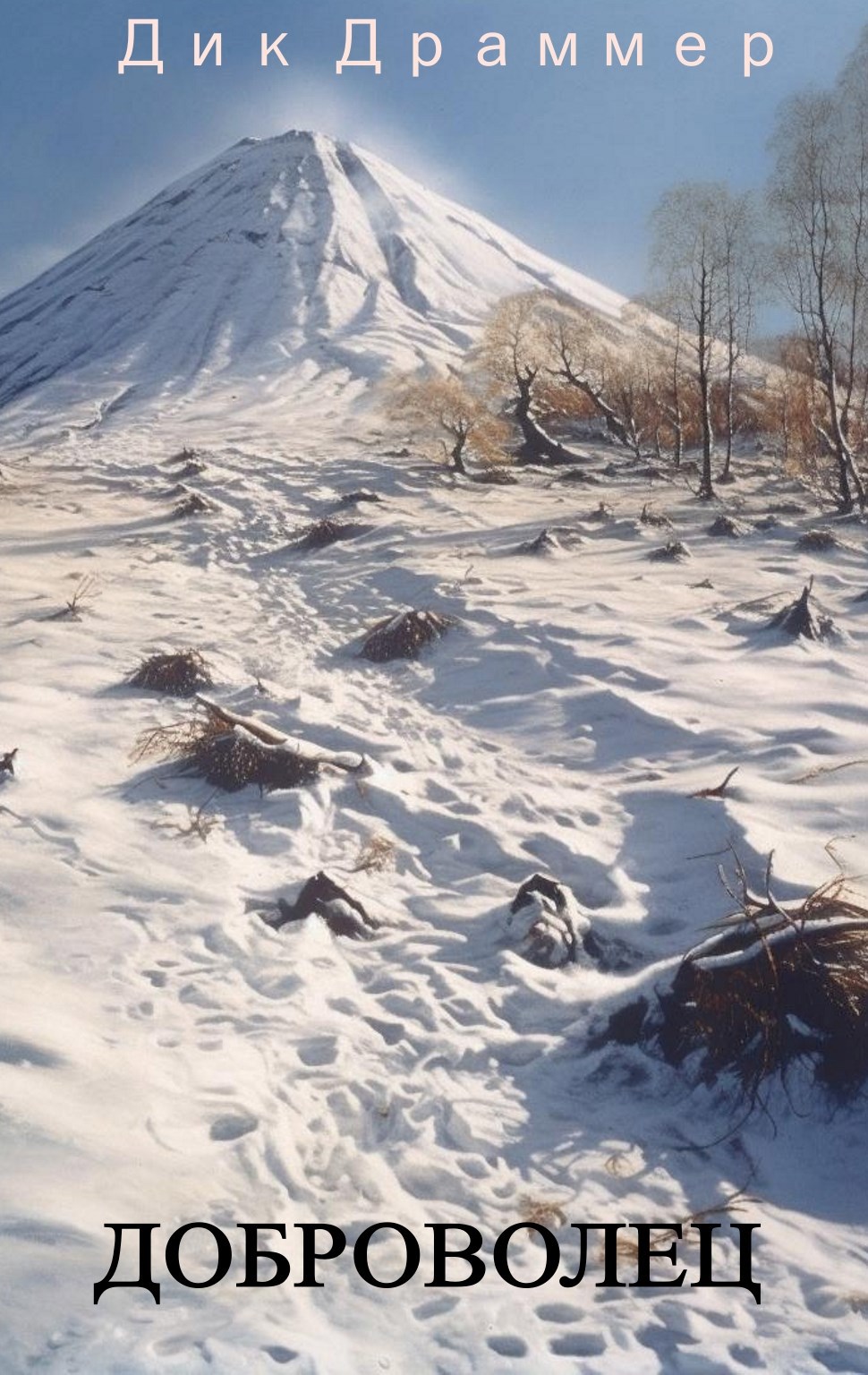 Обложка произведения Доброволец