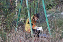 Ориби Каммпирр - Игра...