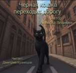 Обложка произведения Черная кошка переходит дорогу