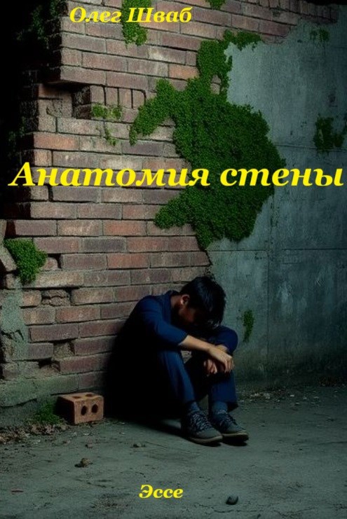 Обложка произведения Анатомия стены.